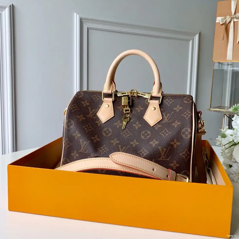 Vuitton SPEEDY BANDOULIERE 25 Louis 0509